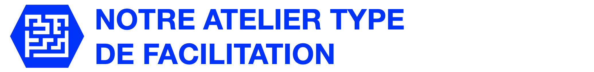 Notre atelier  type de facilitation